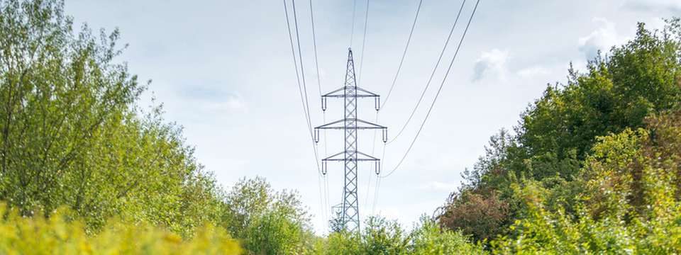 Strom aus Biogas ist eine sinnvolle Ergänzung zu Erdgaskraftwerken.