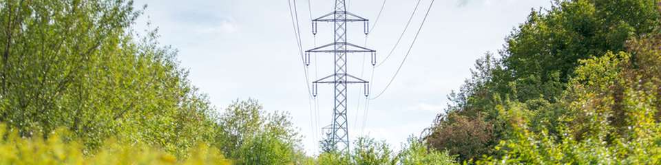 Strom aus Biogas ist eine sinnvolle Ergänzung zu Erdgaskraftwerken.