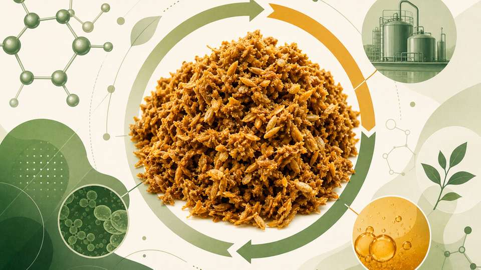 Biertreber soll als Ausgangsstoff für die biotechnologische Produktion von Jasmonaten mittels Optogenetik dienen.