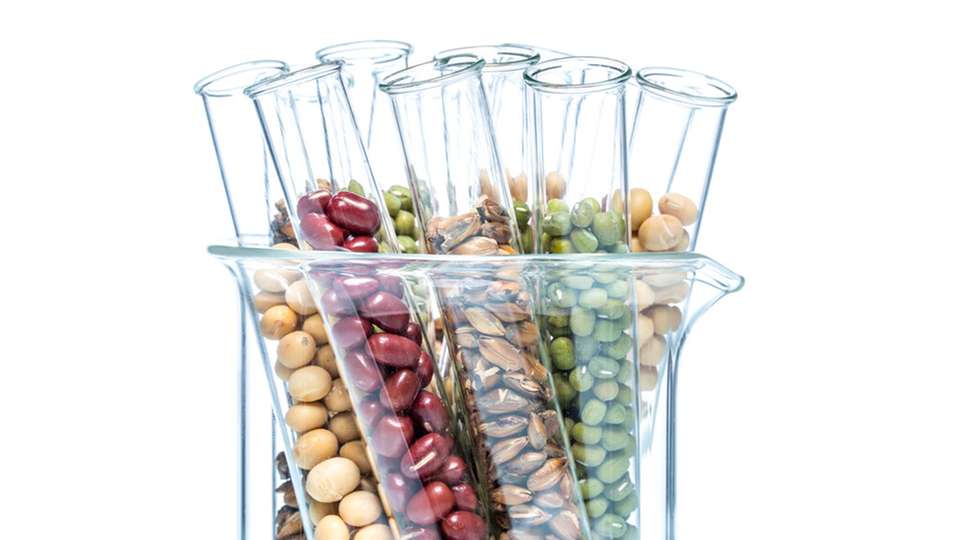 Gea hat sein Application and Technology Center für Biotechnologie und New Food von Hildesheim nach Sarstedt verlegt. Dort werden biotechnologische Prozesse im Pilotmaßstab getestet.