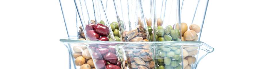 Gea hat sein Application and Technology Center für Biotechnologie und New Food von Hildesheim nach Sarstedt verlegt. Dort werden biotechnologische Prozesse im Pilotmaßstab getestet.