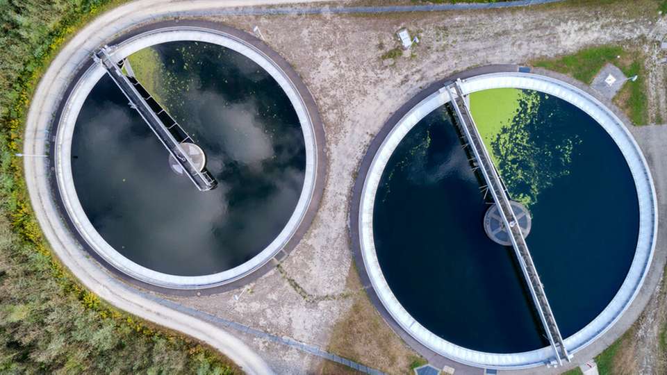 Ammonium ist giftig für Fische, befeuert Algenblüten und entzieht Gewässern Sauerstoff. Ab 2027 müssen Kläranlagen deutlich mehr davon entfernen. Ein Team aus Ulm geht noch einen Schritt weiter.