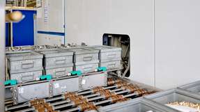 Die jüngste Reinigungsanlage bei Rosenberger in Fridolfing ist eine Kohlenwasserstoff-Alkohol-Anlage mit dem Reinigungsmedium Isoclean RG 59 von Richard Geiss.