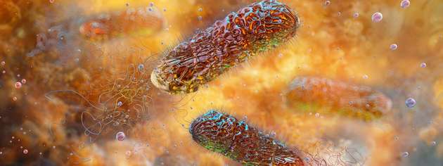 Ein neues 3D-Modell zeigt, wie Pseudomonas aeruginosa unter Strömungsbedingungen Biofilme bildet, umbaut und sich auf neue Oberflächen ausbreitet.