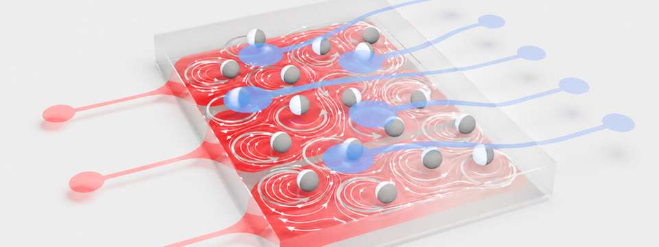 Ein Reservoir-Computer aus oszillierenden kolloidalen Teilchen (weiß/grau), die über Strömungen in einer Flüssigkeit miteinander gekoppelt sind. Eine äußere Anregung (rot) erzeugt eine kollektive Dynamik der Teilchen, aus der ein hochdimensionales Ausgangssignal (blau) entsteht. Abweichungen im zeitlichen Verlauf des Eingangssignals spiegeln sich darin wider und ermöglichen eine empfindliche Detektion von Anomalien.
