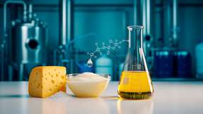 Salzhaltige Molke aus der Käseherstellung könnte mithilfe biobasierter Verfahren zur Rohstoffquelle für Bioethanol werden.