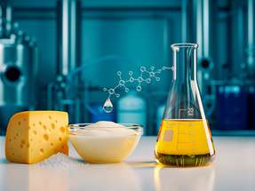 Salzhaltige Molke aus der Käseherstellung könnte mithilfe biobasierter Verfahren zur Rohstoffquelle für Bioethanol werden.