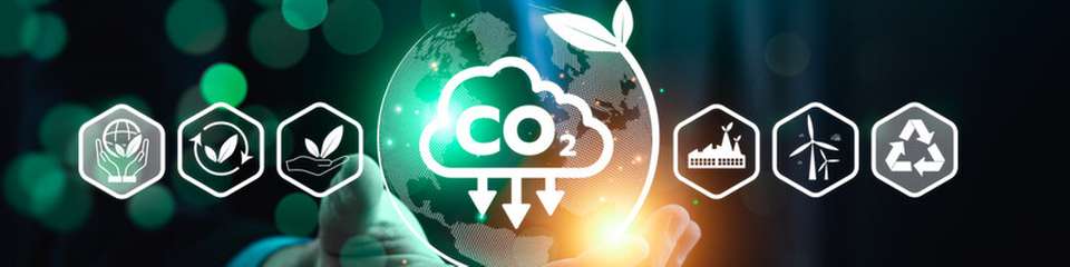 Insgesamt 103 europäische Städte haben Pläne zur Erreichung der Klimaneutralität bis 2030 vorgelegt: Ein wichtiger Bestandteil dieser Pläne ist die CO2-Entnahme aus der Atmosphäre.