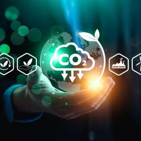 Insgesamt 103 europäische Städte haben Pläne zur Erreichung der Klimaneutralität bis 2030 vorgelegt: Ein wichtiger Bestandteil dieser Pläne ist die CO2-Entnahme aus der Atmosphäre.