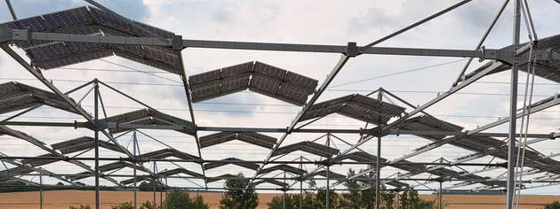 Ackerpflanzen sind anpassungsfähiger als gedacht: Eine Studie der Universität Hohenheim zeigt, dass selbst typische Sonnenpflanzen ihre Photosynthese an die Teilbeschattung in Agroforst- und Agri-PV-Systemen anpassen können.