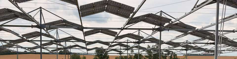 Ackerpflanzen sind anpassungsfähiger als gedacht: Eine Studie der Universität Hohenheim zeigt, dass selbst typische Sonnenpflanzen ihre Photosynthese an die Teilbeschattung in Agroforst- und Agri-PV-Systemen anpassen können.