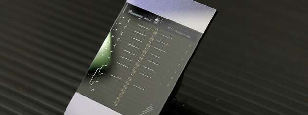 Mittels Integrated Photonics miniaturisierter photonischer Biosensor-Chip des Fraunhofer IPMS.
