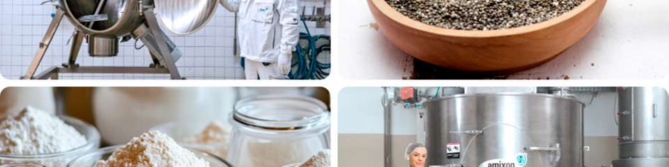 amixon Pulvermischer für Food Ingredients: Aromen, Stabilisatoren, Gewürze und funktionelle Zusatzstoffe werden schonend, hygienisch und reproduzierbar homogenisiert. Auch kleinste Komponenten und Flüssigkeiten lassen sich präzise in das Pulverbett einarbeiten.