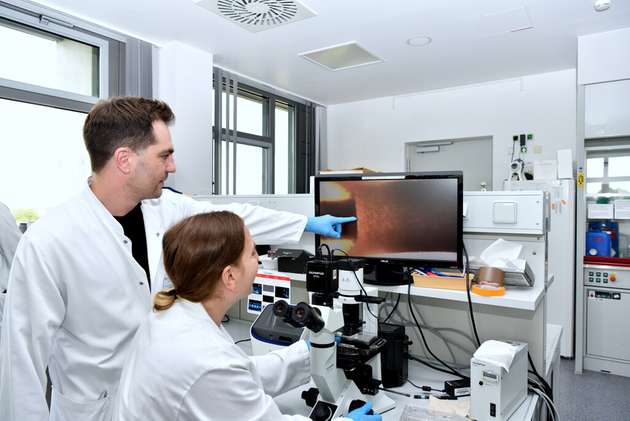 PD Dr. Felix Kleefeld mit Dr. Nassam Daya zeigen eine mikroskopische Vergrößerung eines Muskelorganoids.