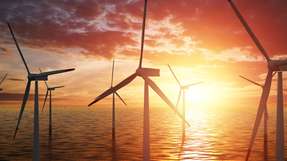 Für den zuverlässigen Betrieb von Offshore-Windparks müssen wichtige Komponenten überwacht werden – die Lösungen will Omexom bereitstellen.