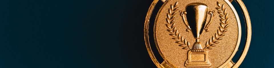 Die EcoVadis-Bronzemedaille würdigt Fortschritte bei Umwelt, Arbeits- und Menschenrechten, Ethik und nachhaltiger Beschaffung.