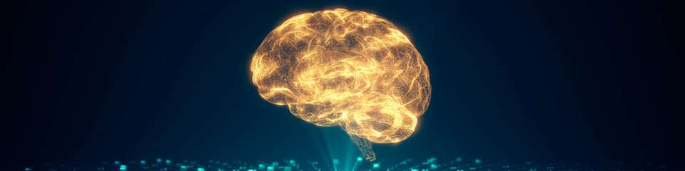 Mit Deep Learning hat KI die Bildverarbeitungsalgorithmen bereits grundlegend verändert. Nun hält sie auch in angrenzenden Bereichen Einzug.