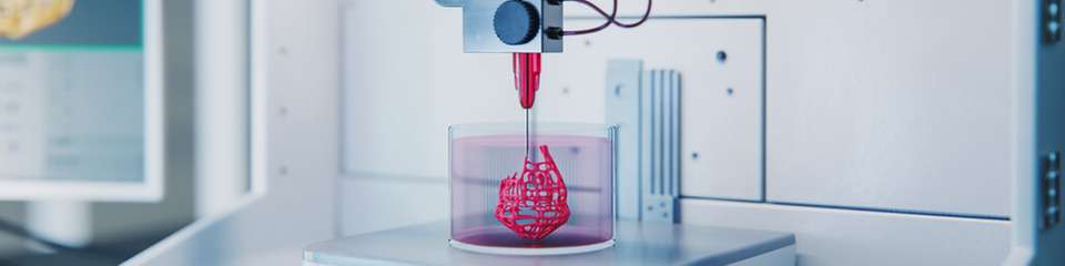 Nachhaltige Bio-Drucktinten aus Kollagen, Elastin und Cellulose-Derivaten sollen den 3D-Druck physiologischer Gewebestrukturen für Wirkstofftests und künftige Implantate ermöglichen.