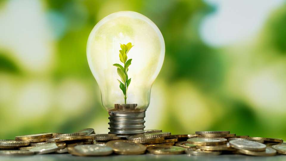 Die Stadt Alzey hat ein kommunales Energiemanagement aufgebaut, das mehr Solarstrom, eine digitale Gebäudesteuerung und höhere Einsparungen ermöglicht.