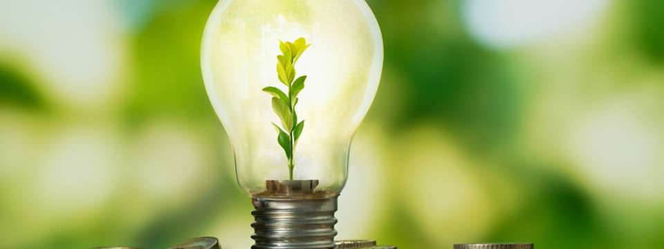 Die Stadt Alzey hat ein kommunales Energiemanagement aufgebaut, das mehr Solarstrom, eine digitale Gebäudesteuerung und höhere Einsparungen ermöglicht.