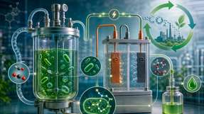 UFZ und BOKU University wandeln CO2 zunächst in Formiat um, das eine Hefe anschließend zur Herstellung von Itaconsäure nutzt.