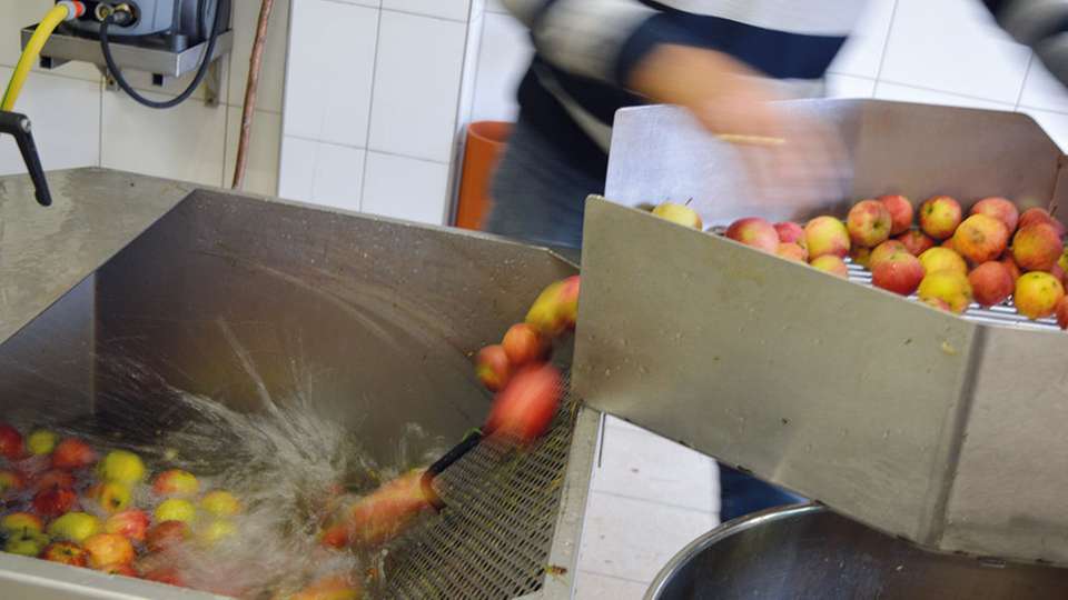 Äpfel werden in der Obstpresse Bramberg gewaschen.