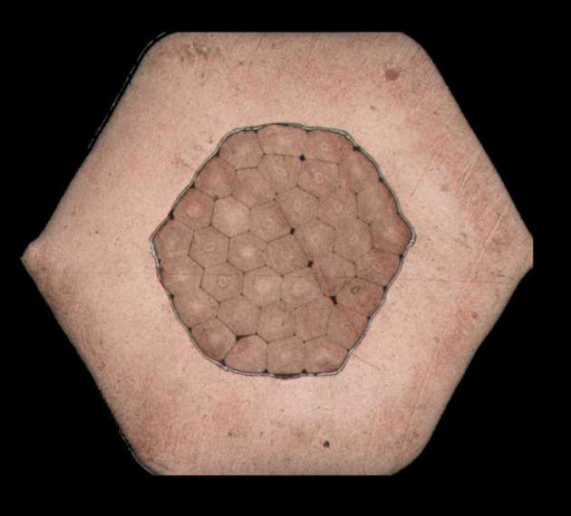 Das Schliffbild des  M12 Powerkontakt im Hexagonalcrimp bei einem Leiterquerschnitt von 1,5 mm2.