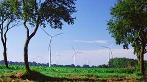 Windpark: Die Windenergie hat sich laut Bundesverband Windenergie zum Rückgrat der Umweltschutzwirtschaft entwickelt.