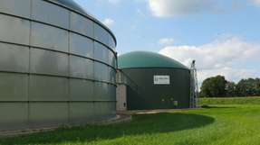 Biogasanlage: Nach Fertigstellung kommen täglich 100 Tonnen organischer Reststoffe, davon 70 Prozent Schweinegülle, in den Edelstahl-Fermenter. 
