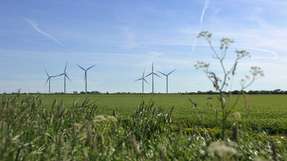Windräder in grüner Landschaft: Die Windindustrie kann die Kostenreduktionsziele des 2014 beschlossenen Erneuerbare-Energien-Gesetzes (EEG) erreichen.
