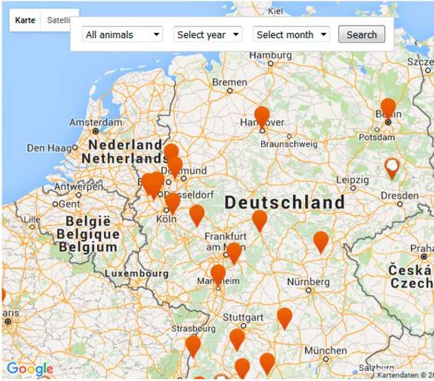 Das für Stromnetze besonders gefährliche Eichhörnchen ist in Deutschland unterrepräsentiert. Nur ein Stromausfall, auf der Karte mit einer Nuss kenntlich gemacht, geht auf die kletterfreudigen Nager zurück.