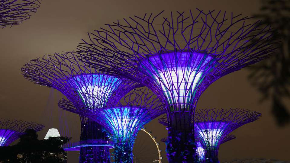 Gegenüber den Supertrees in Singapur (im Bild) wirkt die Konstruktion der amerikanischen Wissenschaftler unscheinbar. Die Idee dahinter ist es allerdings nicht.