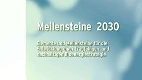 Szenarien-basierte Modellierung: Ein Forscherteam hat Entwicklungen der Bioenergienutzung simuliert und auf Auswirkungen für Klima, Biodiversität, Umwelt, Infrastruktur und Ernährungssicherheit analysiert.