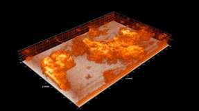 Biofilm auf der Anode (Boden) der Brennstoffzelle: Mit optischer Kohärenztomographie machen Forscher des KIT die mikrobiellen Biofilme sichtbar, die elektrische Energie erzeugen.