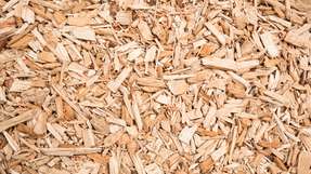 Die Ethanolausbeute des neuen Verfahrens ist deutlich höher als die von fermentationsbasierten Prozessen auf Basis von Stroh oder Holz.