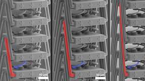 Das neue Metamaterial unter dem Rasterelektronenmikroskop: Eine spezielle Struktur (rot) ermöglicht neue Dehnungseigenschaften.