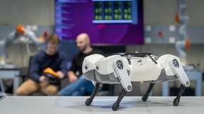 Mit einem Tool übertragen Forschende „intrinisische“ Bewegungen eines Menschen oder Tieres auf Roboter, sodass sich Bert schneller und eleganter bewegen kann.