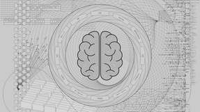 Die Test-Programmierer neigten dazu, die Vorschläge des KI-Assistenten ohne kritische Prüfung anzunehmen, während es zwischen den menschlichen Kollegen viel häufiger kritische Rückfragen und ein gesundes Misstrauen, ob der jeweilige Partner wirklich alles richtig gemacht hat, gab.