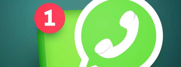 Öffentliche Date wie Telefonnummer, öffentlicher Schlüssel, Zeitstempel und, falls öffentlich eingestellt, Profilbild und About-Text gesammelt werden. 