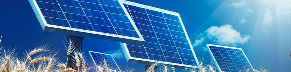 Neben ökologischen Vorteilen kann Agri-PV auch zur wirtschaftlichen Stabilität landwirtschaftlicher Betriebe beitragen.