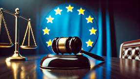 Die bisherige Maschinenrichtlinie behält ihre Gültigkeit bis zum 19. Januar 2027 und wird dann unmittelbar abgelöst – ohne Übergangsregelung.