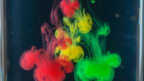 Die Anreicherung von Substanzen in Nahrungsketten wird als problematisch erachtet, zumal sie auch den Menschen betrifft. 