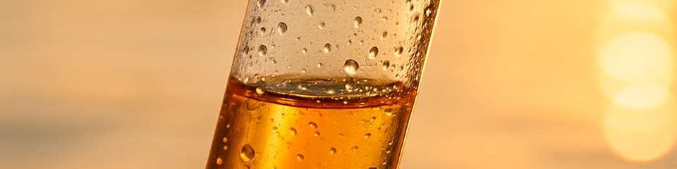 Durch Photokatalyse werden Kunststoffpolymere mit hoher Selektivität in Essigsäure umgewandelt.