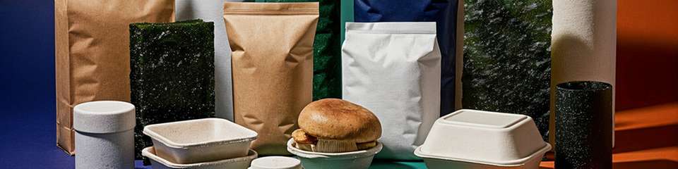 Kreislaufwirtschaft in der Verpackungstechnik: Rücknahme, Recycling und Rekonditionierung reduzieren den Rohstoffeinsatz und senken den CO2-Ausstoß pro Verpackungszyklus deutlich.