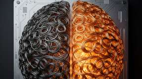 Unternehmen handeln schnell, aber viele tun dies ohne vertrauenswürdige, kontrollierte Datenfundamente.