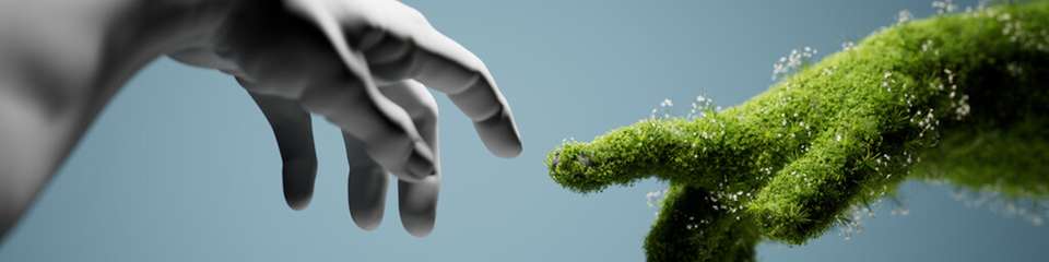 Regeneratives Wirtschaften bedeutet, der Natur mehr zurückzugeben, als man entnimmt – und damit über Nachhaltigkeit und Zero Impact hinauszugehen.