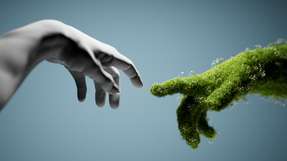 Regeneratives Wirtschaften bedeutet, der Natur mehr zurückzugeben, als man entnimmt – und damit über Nachhaltigkeit und Zero Impact hinauszugehen.