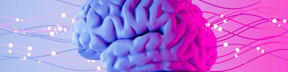 Wenn Fachleute fehlen, zeigt sich die Lücke zuerst im Alltag: Es gibt offene Fragen, Abläufe dauern länger und es treten wiederkehrende Fehler auf – dort setzt das KI-basierte Wissensmanagementsystem an.