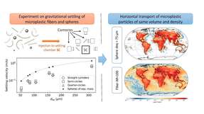Ein interdisziplinäres Team der Universität Wien,und des Max-Planck-Instituts für Dynamik und Selbstorganisation in Göttingen kombinierte Laborexperimente und Modellsimulationen: Die Forscher ermittelten zunächst experimentell, wie schnell sich Mikroplastikfasern in der Atmosphäre absetzen. Anschließend implementierten sie die Ergebnisse in ein globales atmosphärisches Transportmodell. Die Unterschiede zwischen Fasern und kugelförmigen Partikeln waren überraschend groß: Fasern mit einer Länge von bis zu 1,5 mm erreichen demnach die entferntesten Orte der Erde, bis hin zur Stratosphäre.