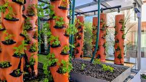 Mit der Integration des ONCITE DPS positioniert sich Cube-Farm als Vorreiter im Bereich digitalisierter, ökologischer Landwirtschaft.